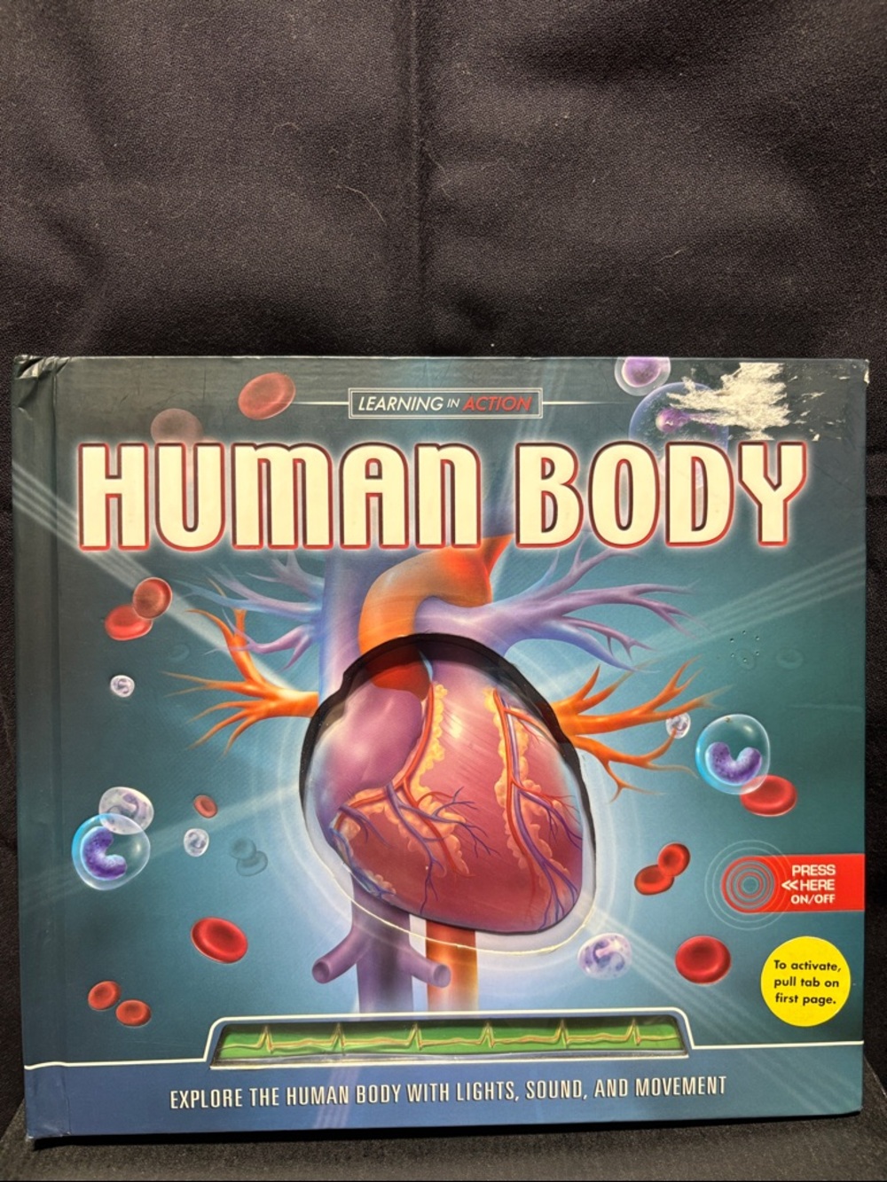 Human Body Interactive Learning Book - Blue Cover with Heart Illustration
